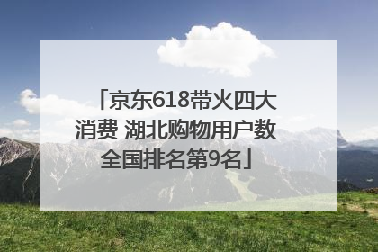 京东618带火四大消费 湖北购物用户数全国排名第9名