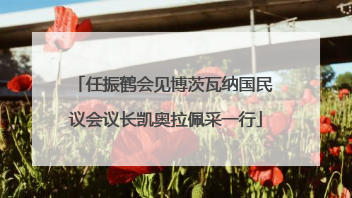 任振鹤会见博茨瓦纳国民议会议长凯奥拉佩采一行