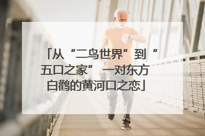 从“二鸟世界”到“五口之家” 一对东方白鹳的黄河口之恋
