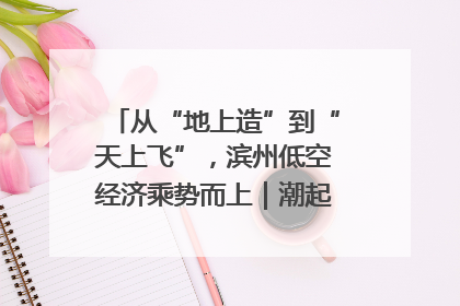 从“地上造”到“天上飞”，滨州低空经济乘势而上｜潮起渤海・网聚黄蓝