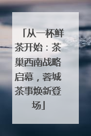 从一杯鲜茶开始：茶巢西南战略启幕，蓉城茶事焕新登场