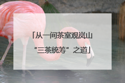 从一间茶室观岚山“三茶统筹”之道