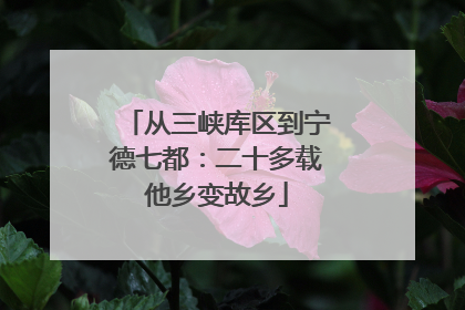 从三峡库区到宁德七都：二十多载他乡变故乡