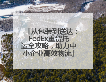 从包装到送达：FedEx重货托运全攻略，助力中小企业高效物流