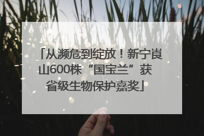 从濒危到绽放！新宁崀山600株“国宝兰”获省级生物保护嘉奖