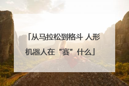 从马拉松到格斗 人形机器人在“赛”什么