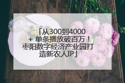 从300到4000+ 单条播放破百万！枣阳数字经济产业园打造新农人IP