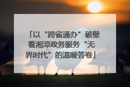 以“跨省通办”破壁 看湘潭政务服务“无界时代”的温暖答卷