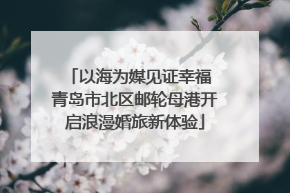 以海为媒见证幸福 青岛市北区邮轮母港开启浪漫婚旅新体验