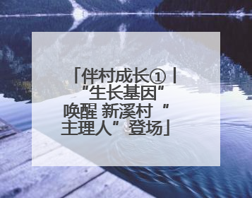 伴村成长①丨 “生长基因”唤醒 新溪村“主理人”登场