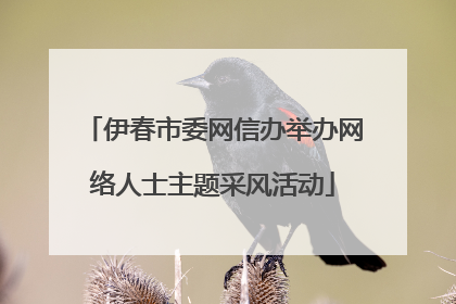 伊春市委网信办举办网络人士主题采风活动