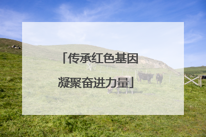 传承红色基因 凝聚奋进力量