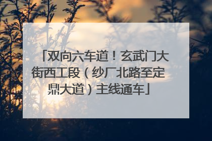 双向六车道！玄武门大街西工段（纱厂北路至定鼎大道）主线通车