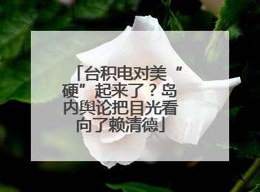 台积电对美“硬”起来了？岛内舆论把目光看向了赖清德