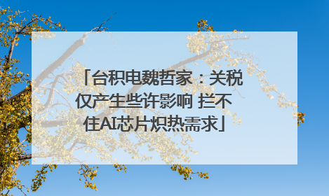 台积电魏哲家：关税仅产生些许影响 拦不住AI芯片炽热需求