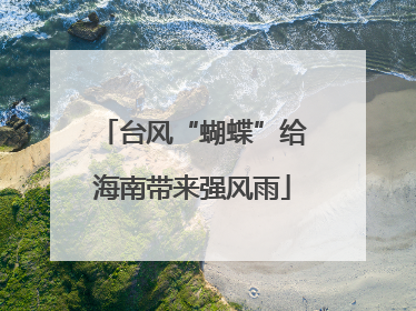 台风“蝴蝶”给海南带来强风雨