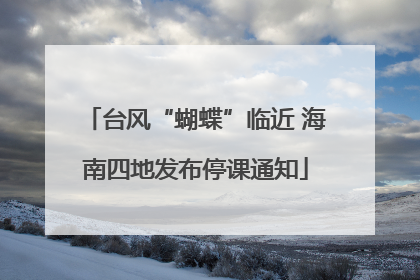 台风“蝴蝶”临近 海南四地发布停课通知