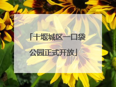十堰城区一口袋公园正式开放