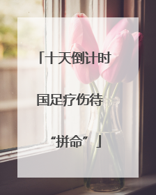 十天倒计时 国足疗伤待“拼命”