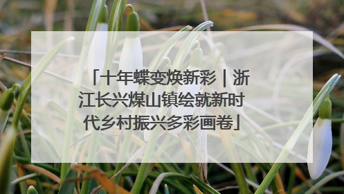 十年蝶变焕新彩｜浙江长兴煤山镇绘就新时代乡村振兴多彩画卷