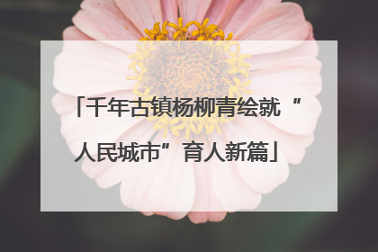 千年古镇杨柳青绘就“人民城市”育人新篇