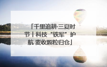 千里追耕·三夏时节丨科技“铁军”护航 麦收颗粒归仓