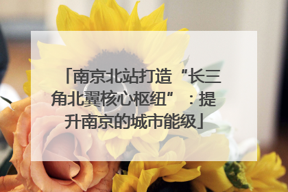南京北站打造“长三角北翼核心枢纽”：提升南京的城市能级
