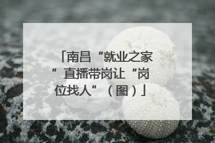南昌“就业之家”直播带岗让“岗位找人”（图）