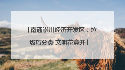 南通崇川经济开发区：垃圾巧分类 文明花竞开