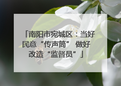 南阳市宛城区：当好民意“传声筒” 做好改造“监督员”