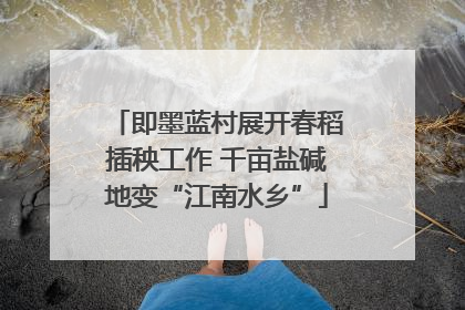即墨蓝村展开春稻插秧工作 千亩盐碱地变“江南水乡”