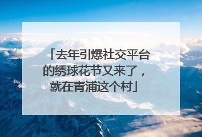 去年引爆社交平台的绣球花节又来了,就在青浦这个村