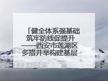 健全体系强基础 筑牢防线促提升——西安市莲湖区多措并举构建基层应急管理新格局