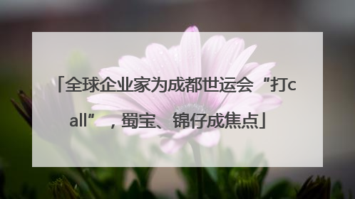 全球企业家为成都世运会“打call”，蜀宝、锦仔成焦点