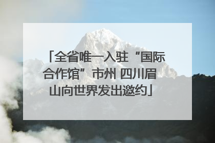 全省唯一入驻“国际合作馆”市州 四川眉山向世界发出邀约