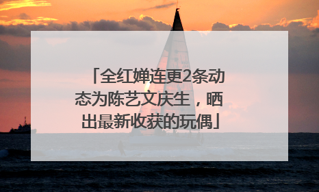 全红婵连更2条动态为陈艺文庆生，晒出最新收获的玩偶
