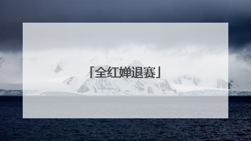 全红婵退赛