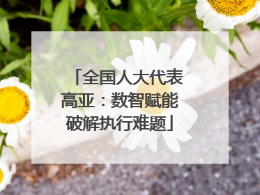 全国人大代表高亚：数智赋能破解执行难题