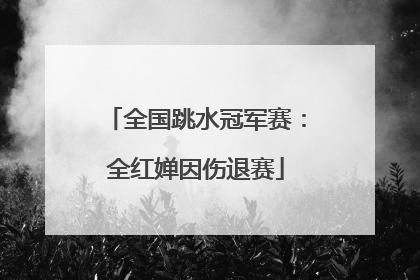 全国跳水冠军赛：全红婵因伤退赛