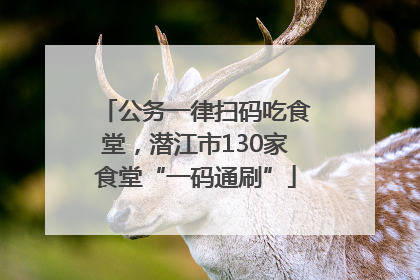 公务一律扫码吃食堂，潜江市130家食堂“一码通刷”