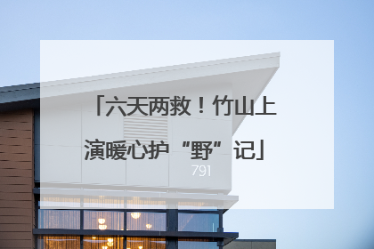 六天两救！竹山上演暖心护“野”记