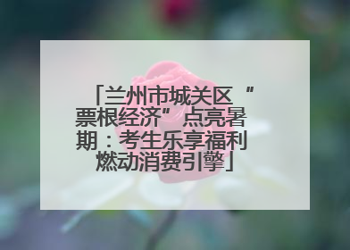 兰州市城关区“票根经济”点亮暑期：考生乐享福利 燃动消费引擎