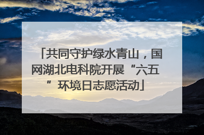共同守护绿水青山，国网湖北电科院开展“六五”环境日志愿活动