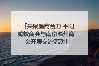 共聚温商合力 平阳腾蛟商会与南京温州商会开展交流活动
