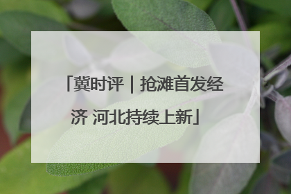 冀时评｜抢滩首发经济 河北持续上新
