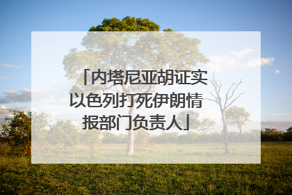 内塔尼亚胡证实以色列打死伊朗情报部门负责人