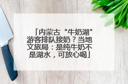 内蒙古“牛奶湖”游客排队接奶？当地文旅局：是纯牛奶不是湖水，可放心喝