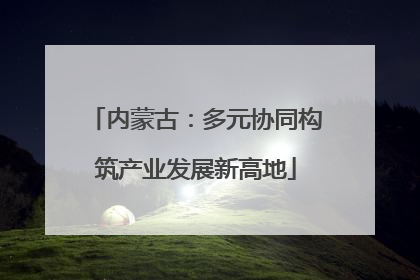 内蒙古：多元协同构筑产业发展新高地