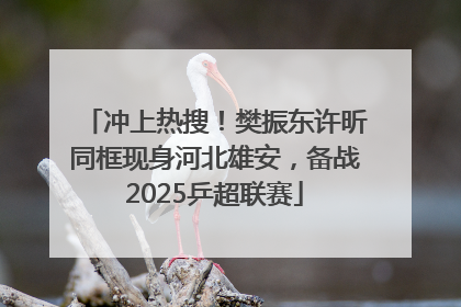 冲上热搜！樊振东许昕同框现身河北雄安，备战2025乒超联赛