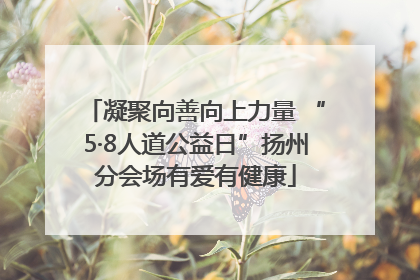 凝聚向善向上力量 “5·8人道公益日”扬州分会场有爱有健康